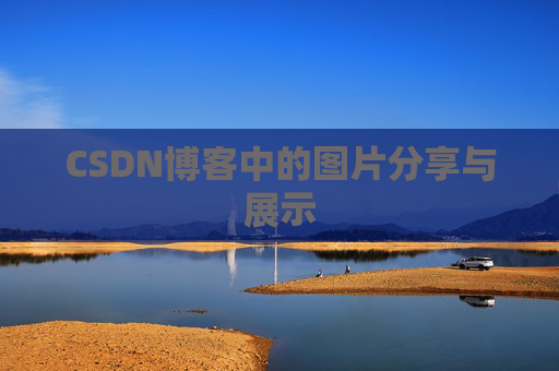 CSDN博客中的图片分享与展示